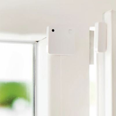 SHELLYBLUDOORWINW - 3