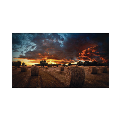 Pantalla Profesional LED de 55" para Video Wall, Full HD (1080p), HDMI/DVI-D/DP, Bisel Ultra Delgado de 2.3mm. Compatible VESA 600x400 | VM55BU