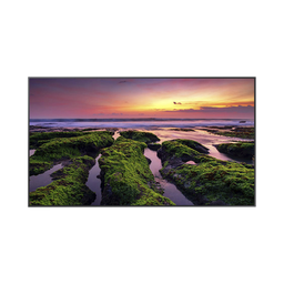 [QB55C] Pantalla Profesional LED de 55", UHD 4K (3840x2160p), Entradas de Video HDMI, Bocinas Integradas de 10 W. Compatible VESA | QB55C